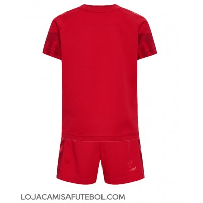 Camisa de Futebol Dinamarca Equipamento Principal Infantil Mundo 2022 Manga Curta (+ Calças curtas)